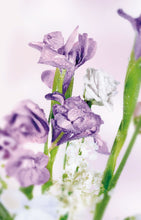 Load image into Gallery viewer, Omnia Amethyste