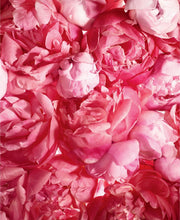 Load image into Gallery viewer, Tory Burch