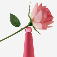 Load image into Gallery viewer, L'eau D'issey Rose&Rose