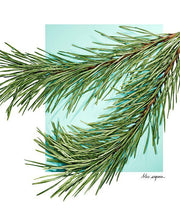 Load image into Gallery viewer, Tiffany & Love Eau de Toilette For Him - GWP