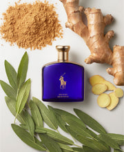 Load image into Gallery viewer, Polo Blue Gold Blend