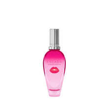 Load image into Gallery viewer, Summer Festival