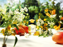 Load image into Gallery viewer, Dolce Shine