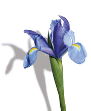 Load image into Gallery viewer, Love Relentlessly