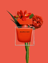 Load image into Gallery viewer, Narciso Rouge