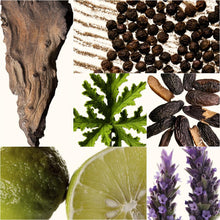 Load image into Gallery viewer, United Dreams Together Him
