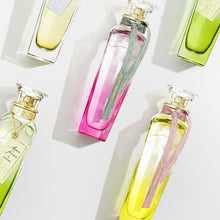 Load image into Gallery viewer, Agua Fresca de Mimosa Coriandro
