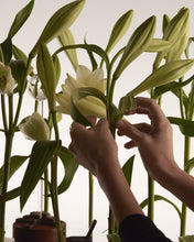 Load image into Gallery viewer, L'eau D'issey