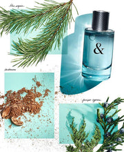 Load image into Gallery viewer, Tiffany &amp; Love Eau de Toilette For Him - GWP