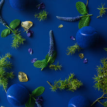 Load image into Gallery viewer, LACOSTE L1212 MAGNETIC MEN
