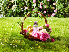 Load image into Gallery viewer, Dolce Peony