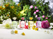 Load image into Gallery viewer, Dolce Shine