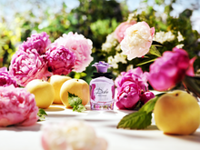 Load image into Gallery viewer, Dolce Peony